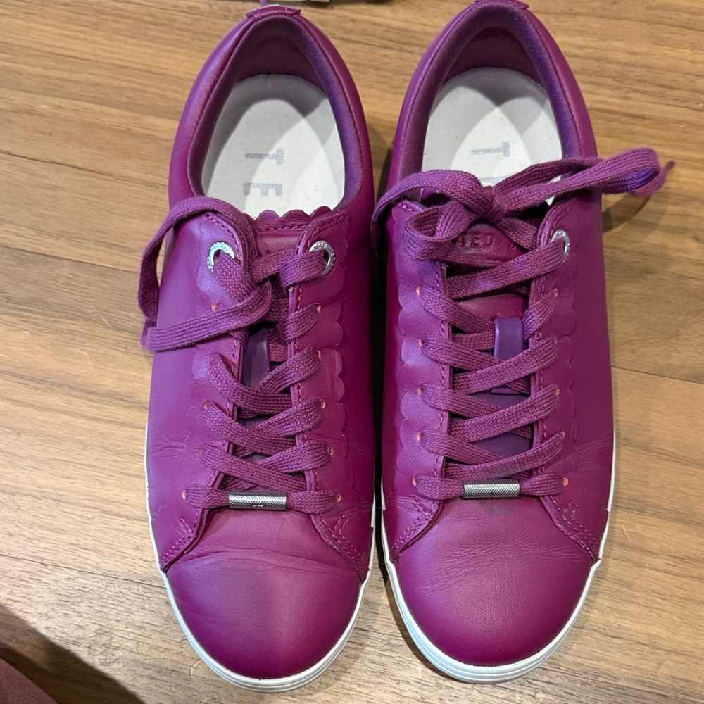 Ted Baker Plum  Sneakers